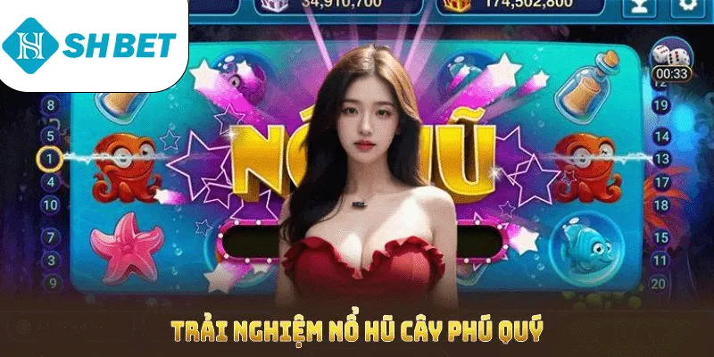 Trải nghiệm nổ hũ cây phú quý SHBET nhận nhiều khuyến mãi độc quyền